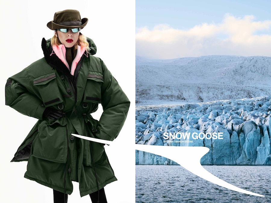 Snow Goose by Canada Goose