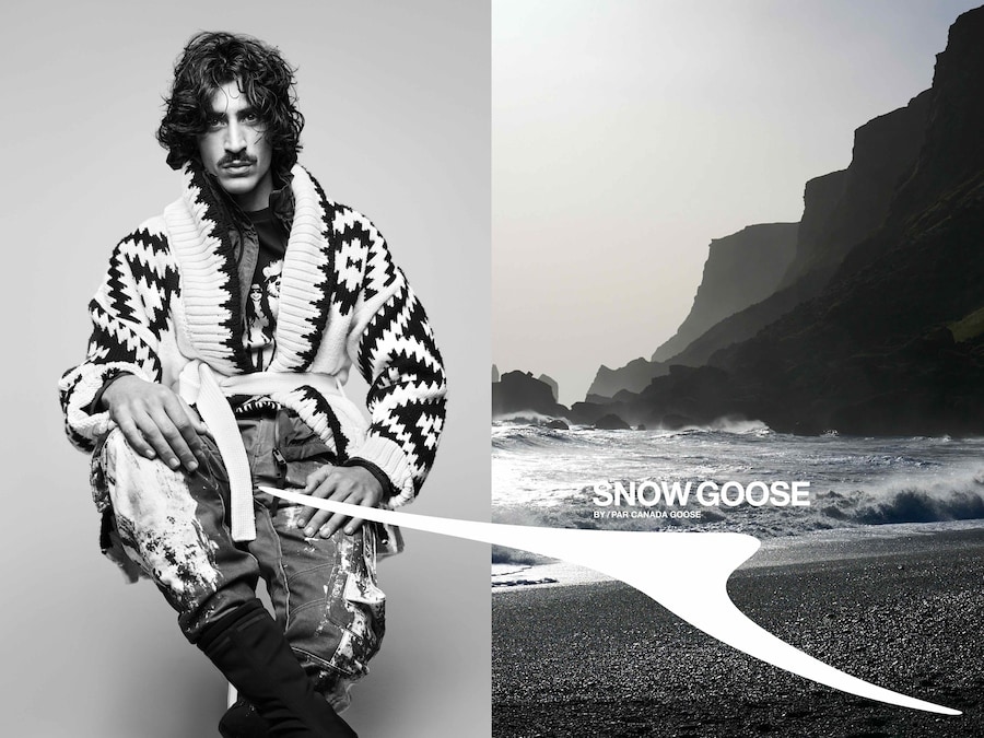 Snow Goose by Canada Goose