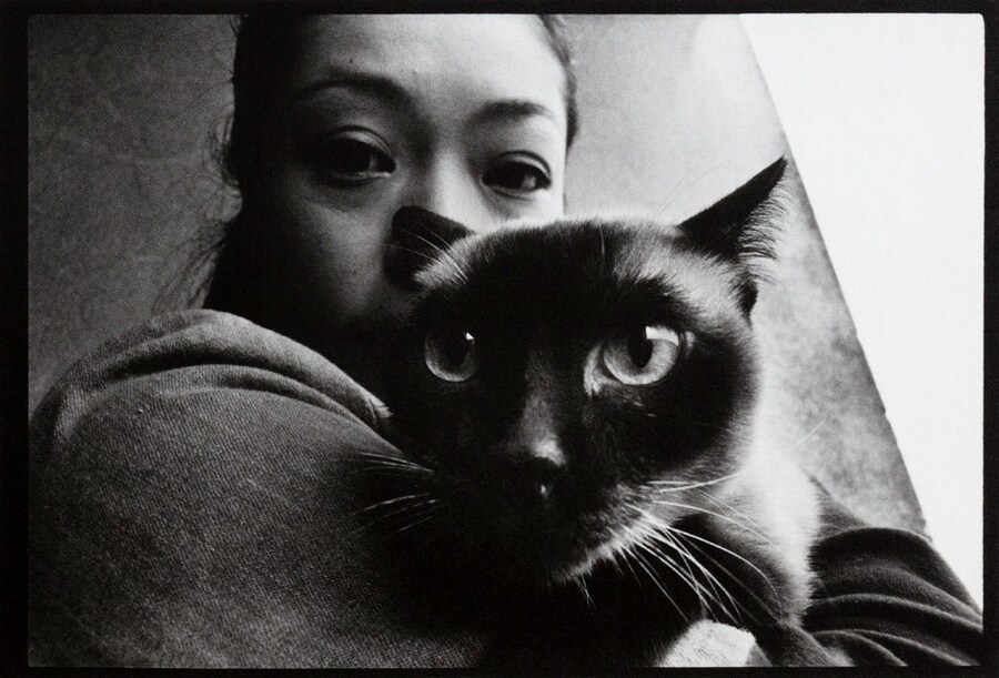 Valentine’s Day Photo Books 2025 Romantic Photos