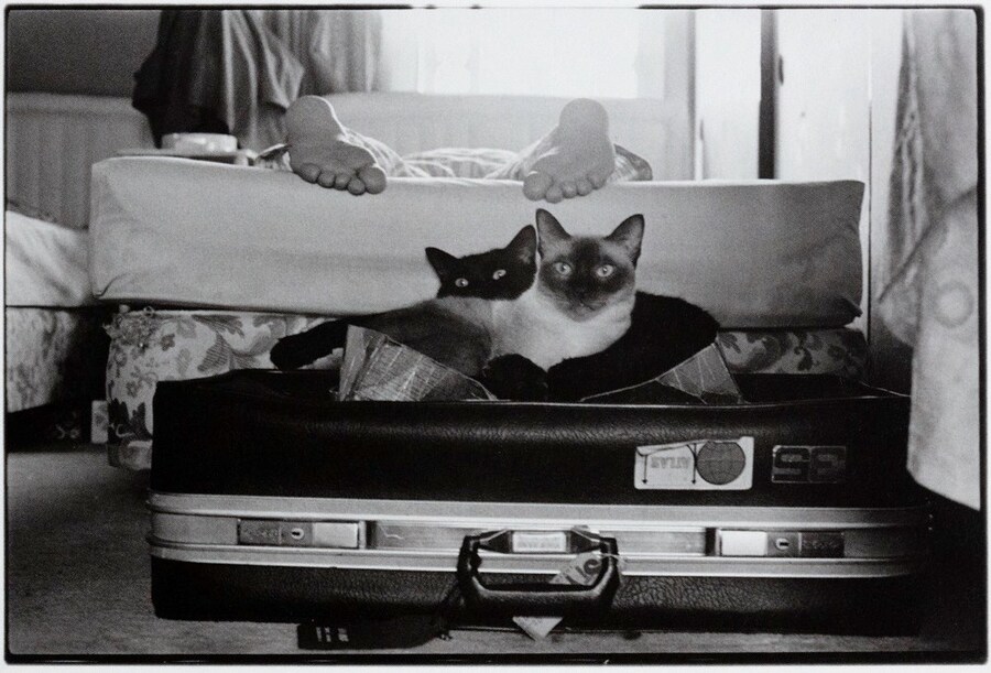 Valentine’s Day Photo Books 2025 Romantic Photos