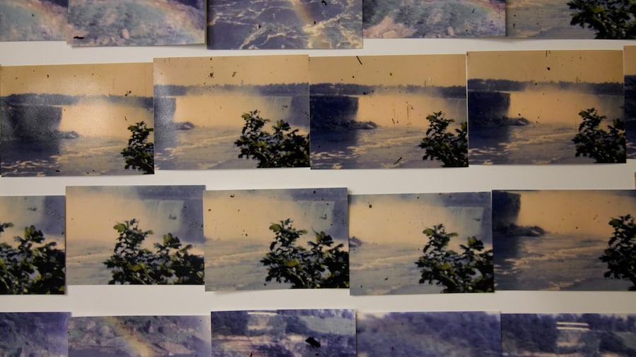 My Mother and Eye by Carmen Winant