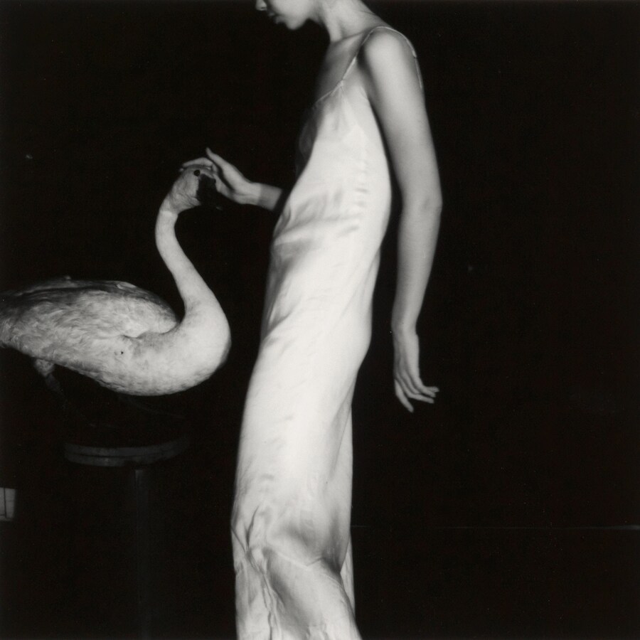Francesca Woodman: Works from the Verbund Collection