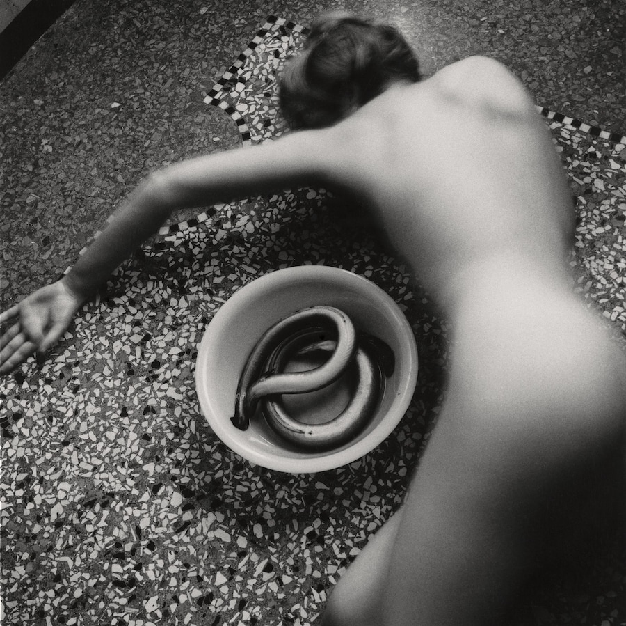 Francesca Woodman: Works from the Verbund Collection