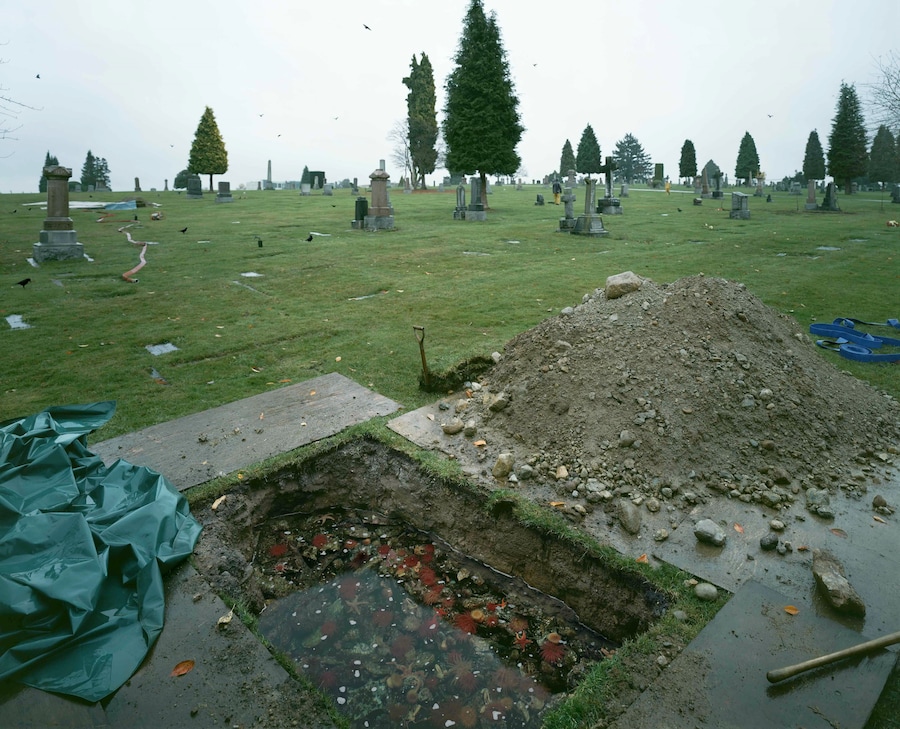 Time Stands Still by Jeff Wall Photographer Exhibition