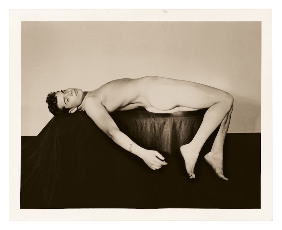 Physique by Vince Aletti
