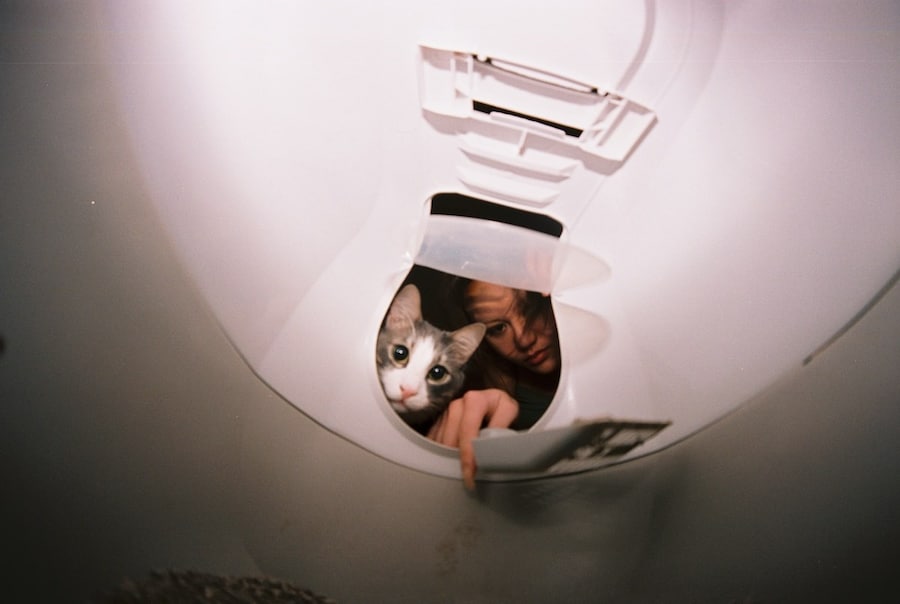 POV by John Yuyi
