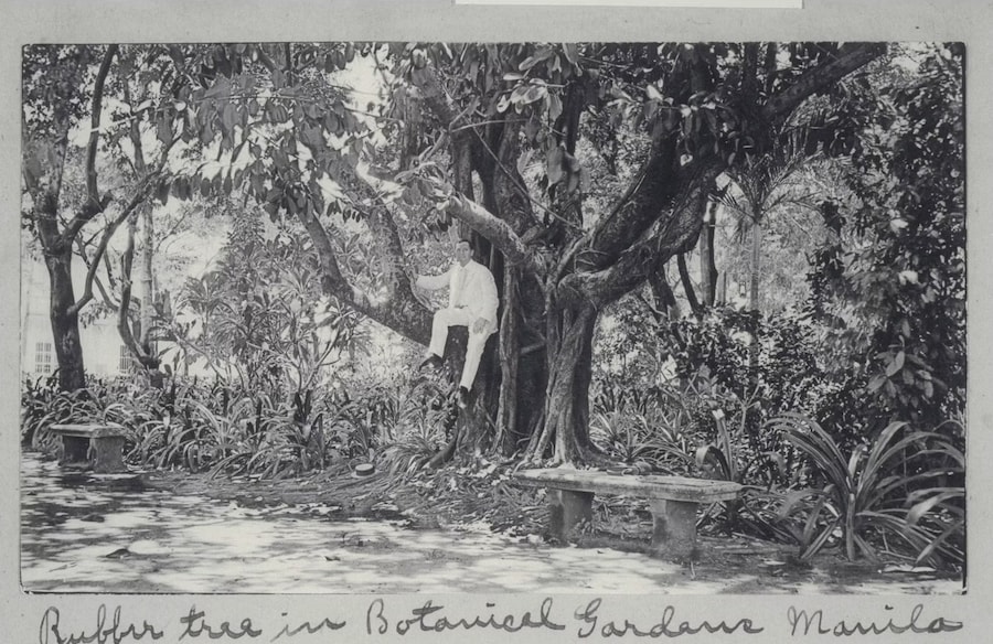 Fashion in Film Festival 2025