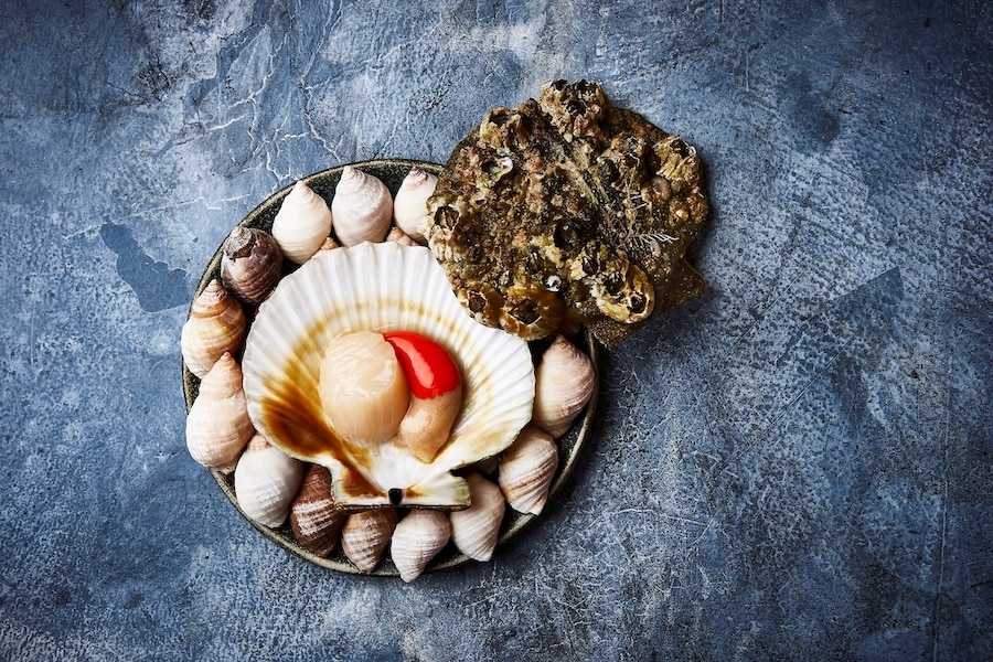 New Nordic: Cuisine, Aesthetics and Place