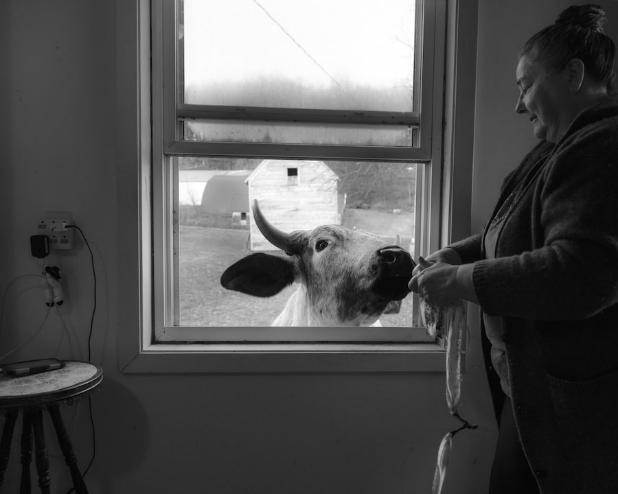 Dormant Season by Erinn Springer 