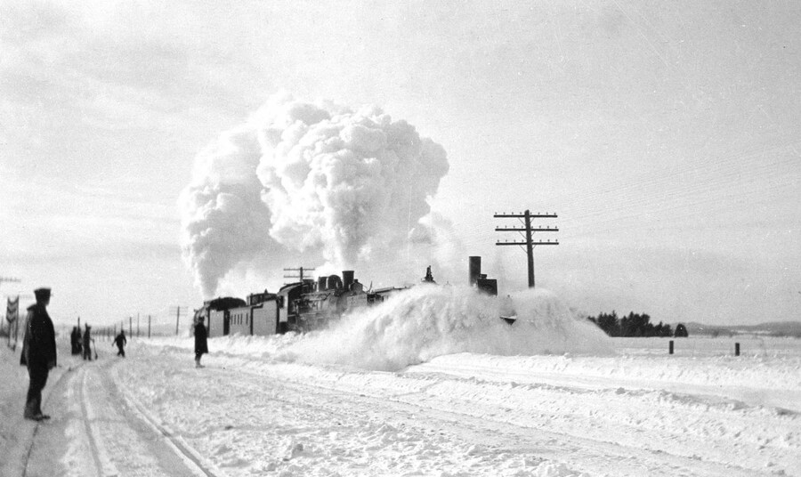 Dormant Season by Erinn Springer 