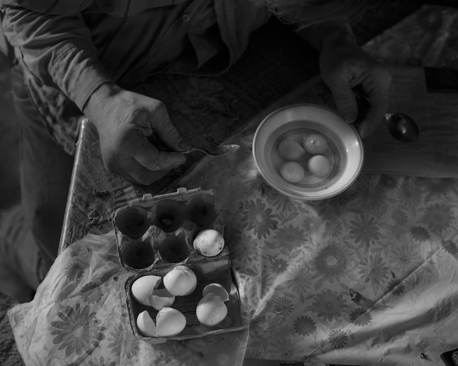 Dormant Season by Erinn Springer 