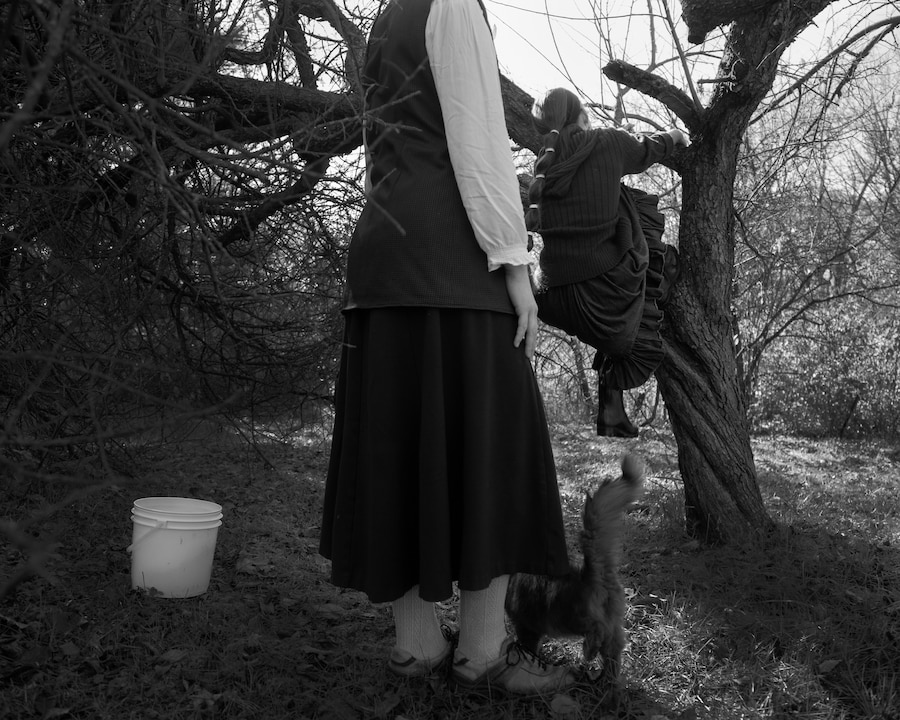 Dormant Season by Erinn Springer 