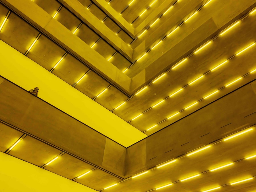 Bass by Steve McQueen