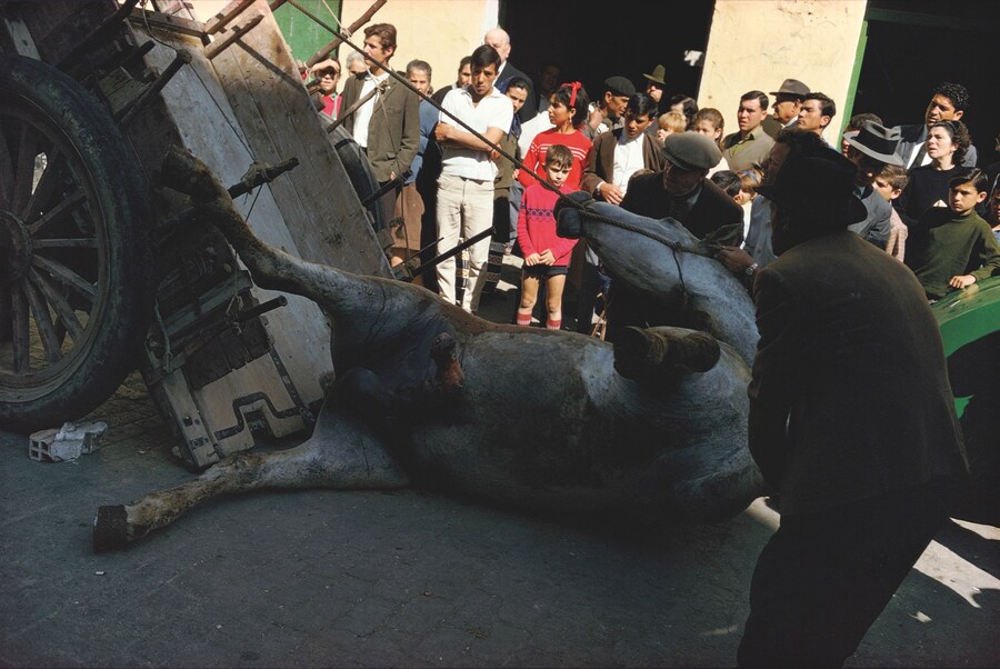 PHotoEspa&#241;a 2025