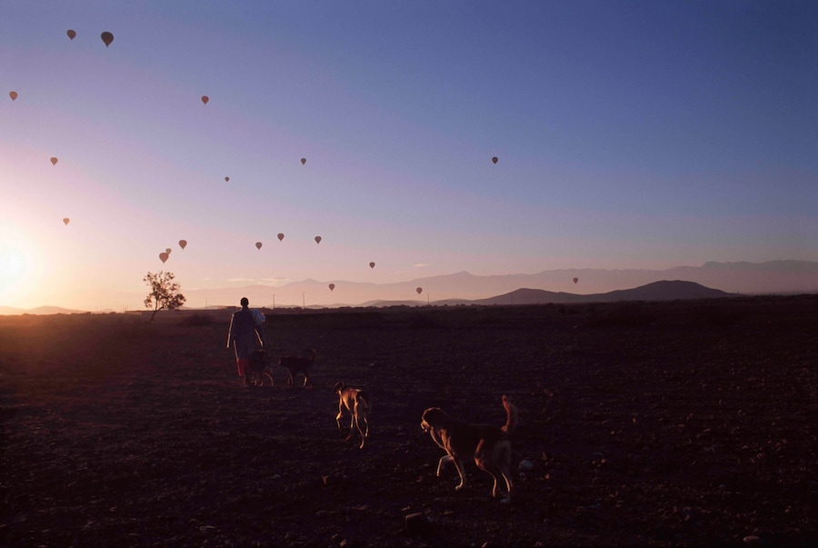 Travel to the Sun Zomer Vincent van de Wijngaard Imruh Asha