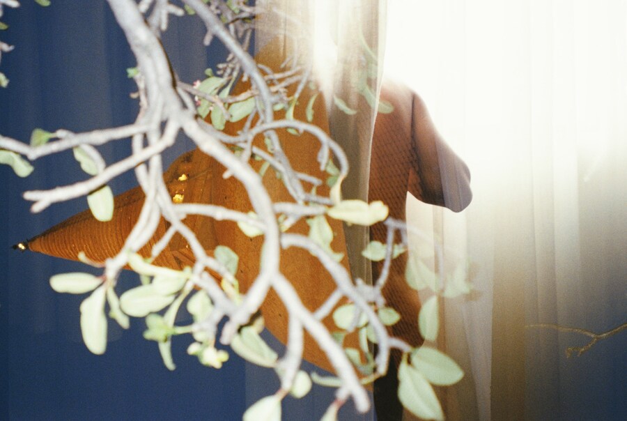 La Libert&#233; ou L’Amour