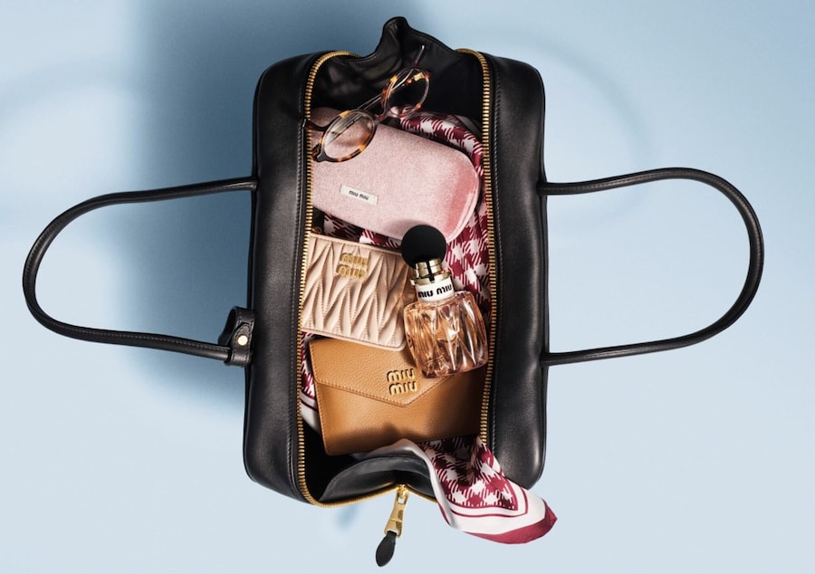 Miu Miu in bag