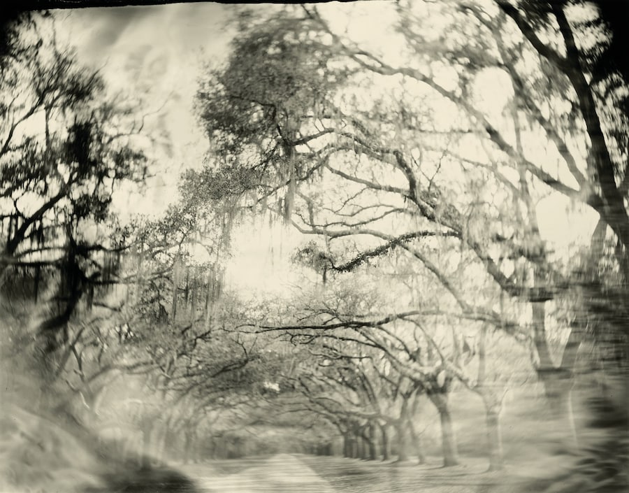 Art Work: On the Creative Life by Sally Mann