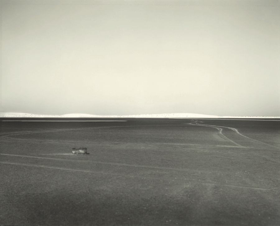 Art Work: On the Creative Life by Sally Mann