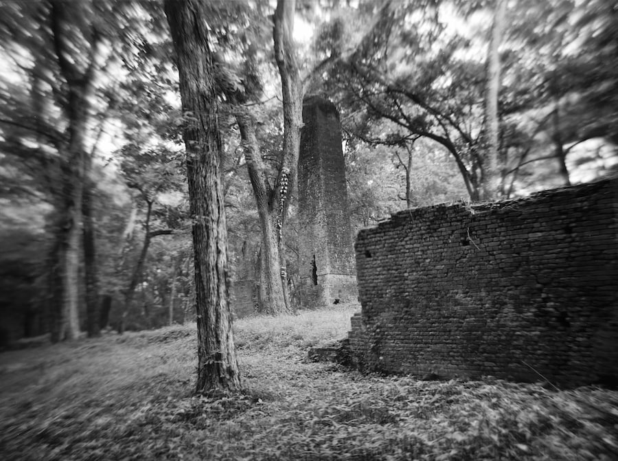 Art Work: On the Creative Life by Sally Mann