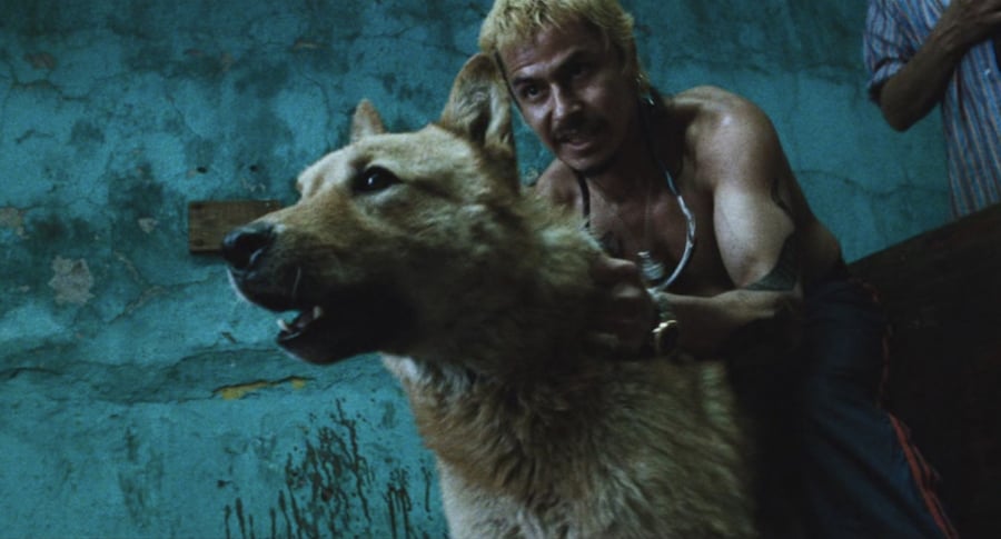 Sue&#241;o Perro by Alejandro Gonz&#225;lez I&#241;&#225;rritu, Fondazione Prada