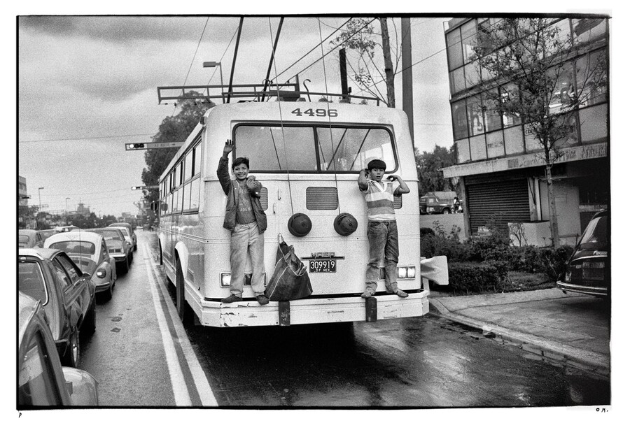 Sue&#241;o Perro by Alejandro Gonz&#225;lez I&#241;&#225;rritu, Fondazione Prada