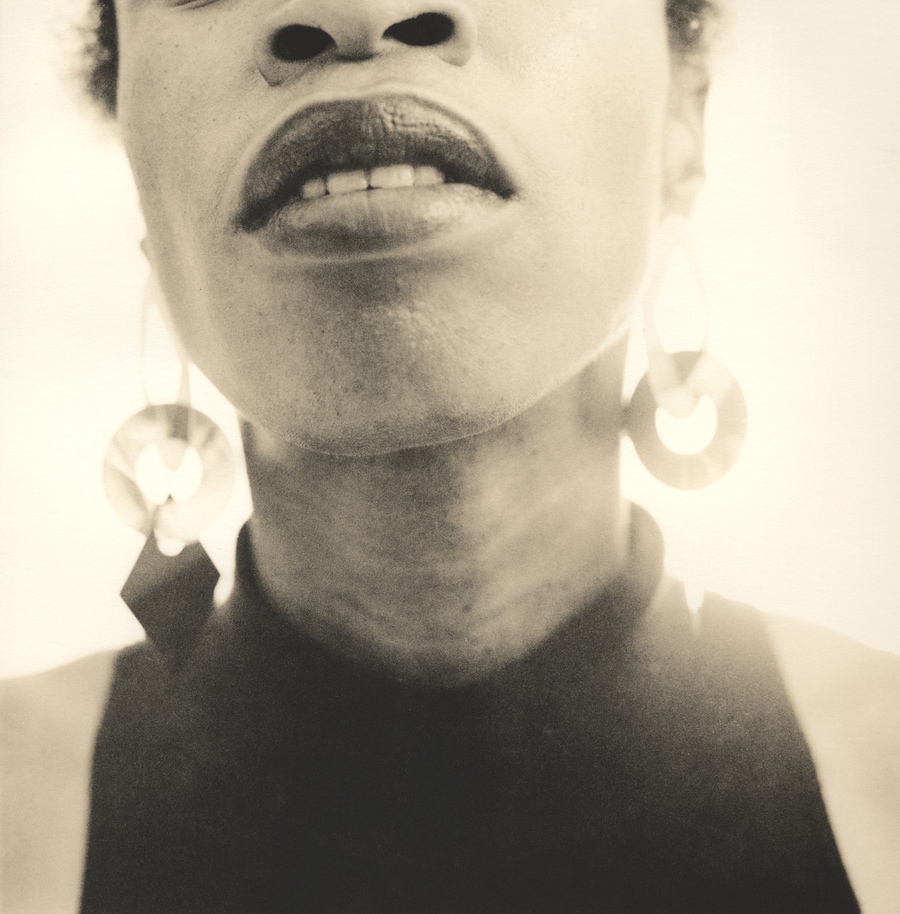 Catching Flies with Honey by Joy Gregory 