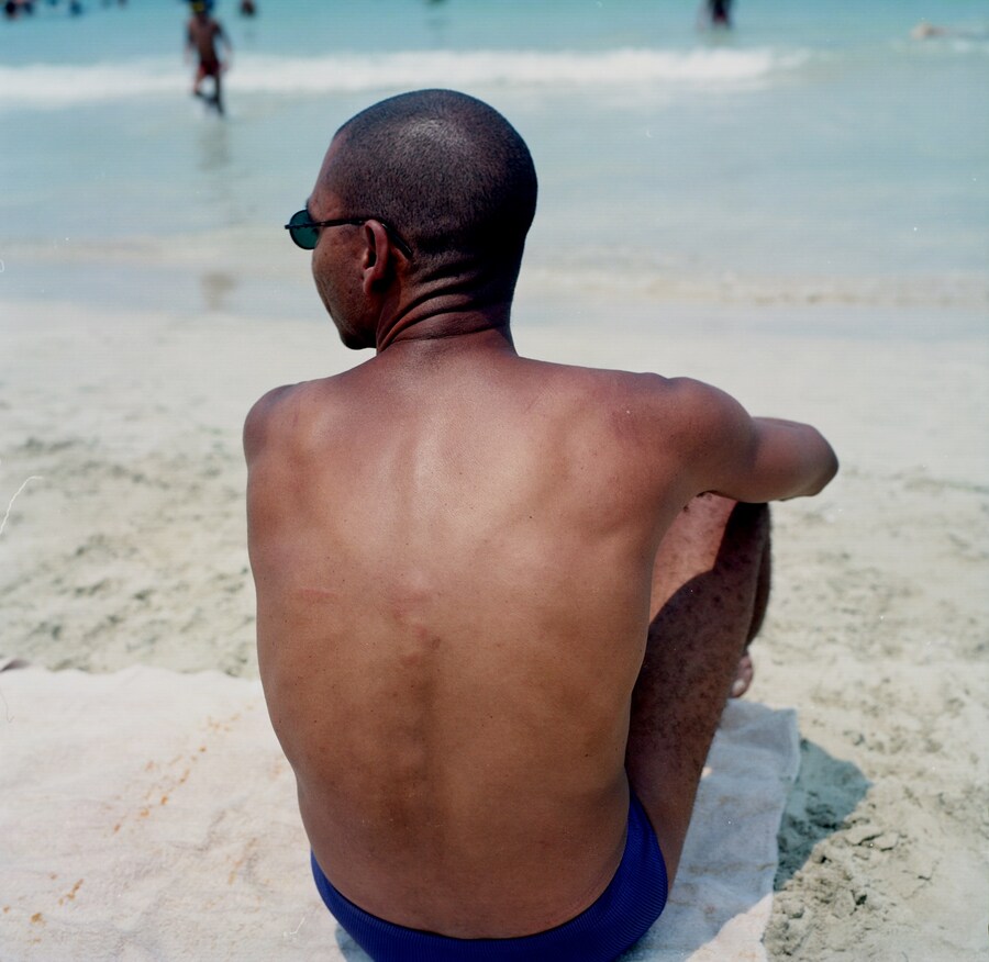 Catching Flies with Honey by Joy Gregory 