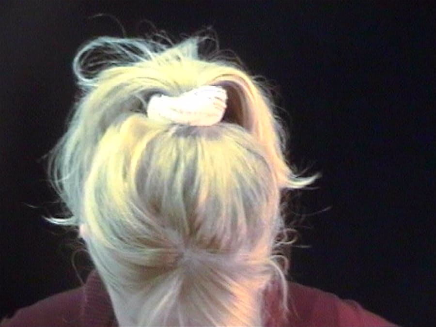 Catching Flies with Honey by Joy Gregory 