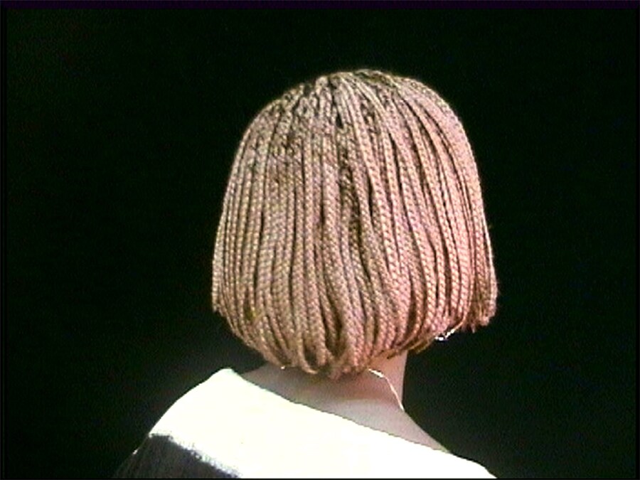 Catching Flies with Honey by Joy Gregory 