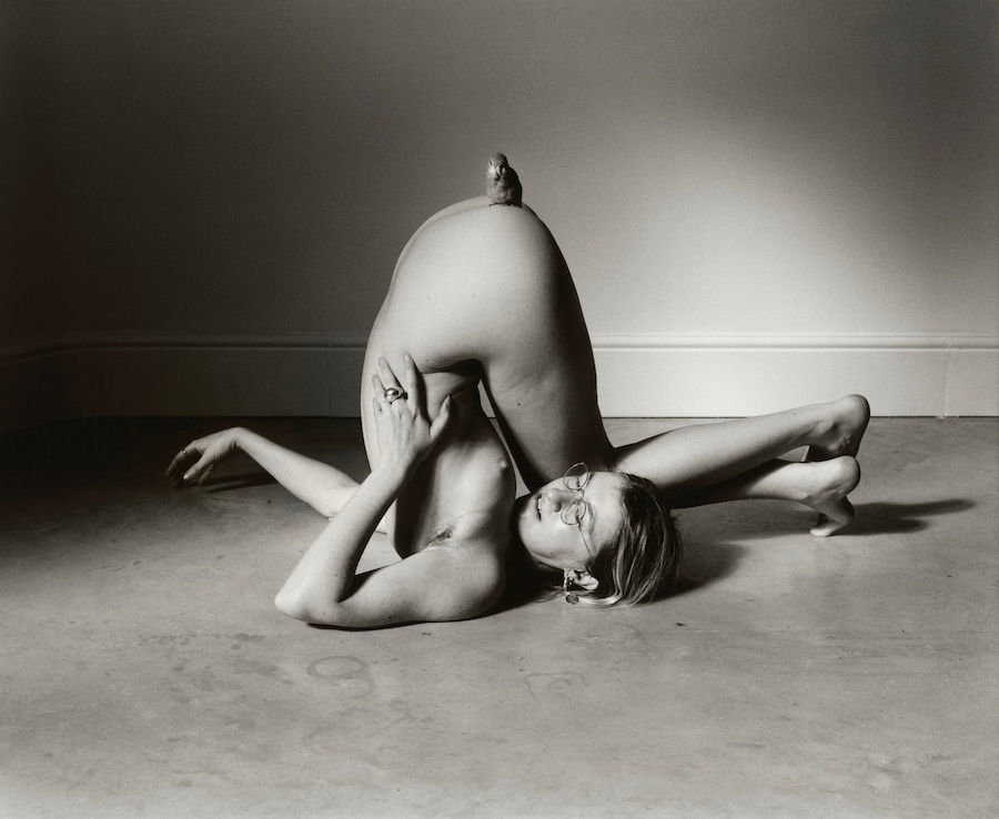 Gilded Lilies by Steph Wilson, photo book