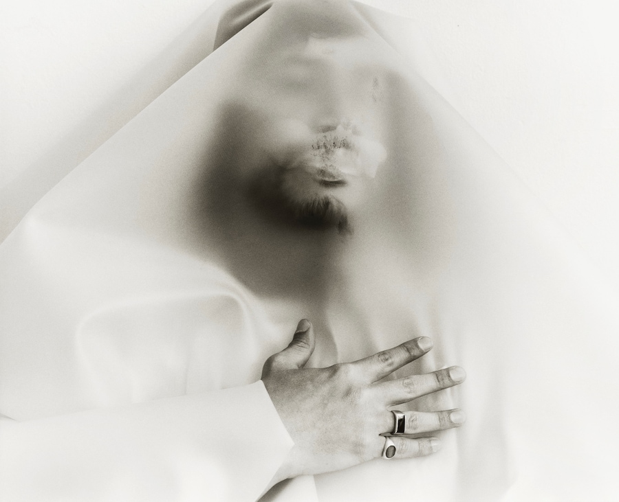 Gilded Lilies by Steph Wilson, photo book