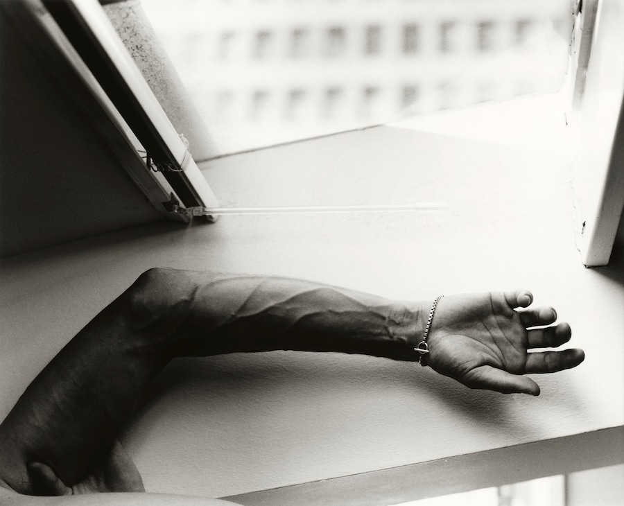 Gilded Lilies by Steph Wilson, photo book