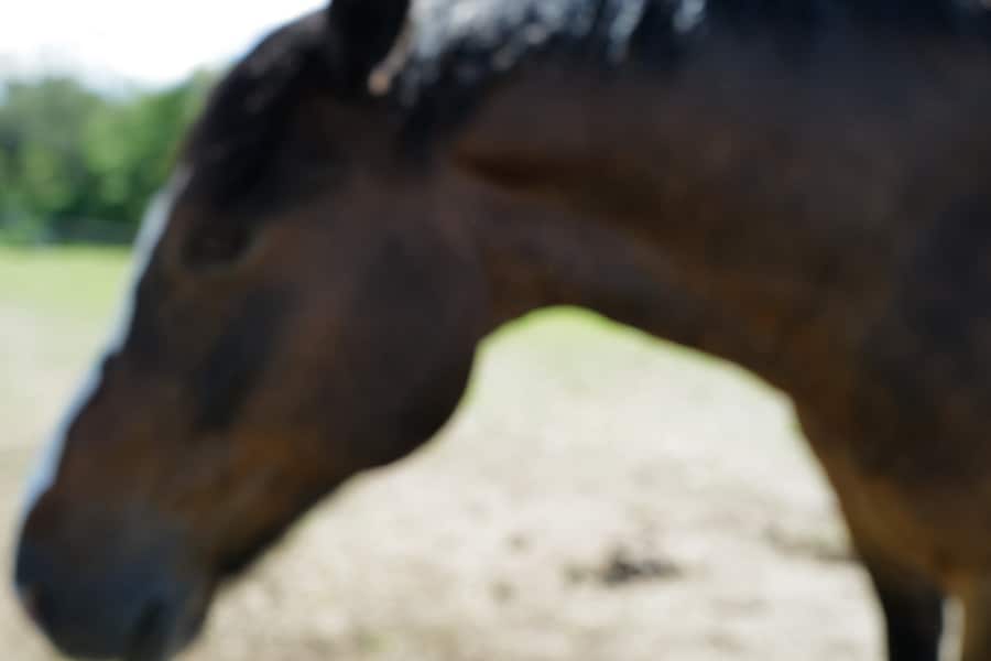 This Will Not End Well by Nan Goldin