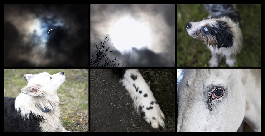 This Will Not End Well by Nan Goldin