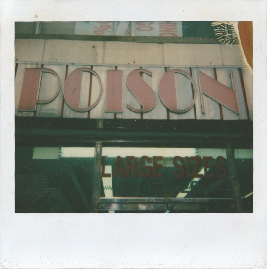 Dash Snow Polaroids New York Ryan Mcginley