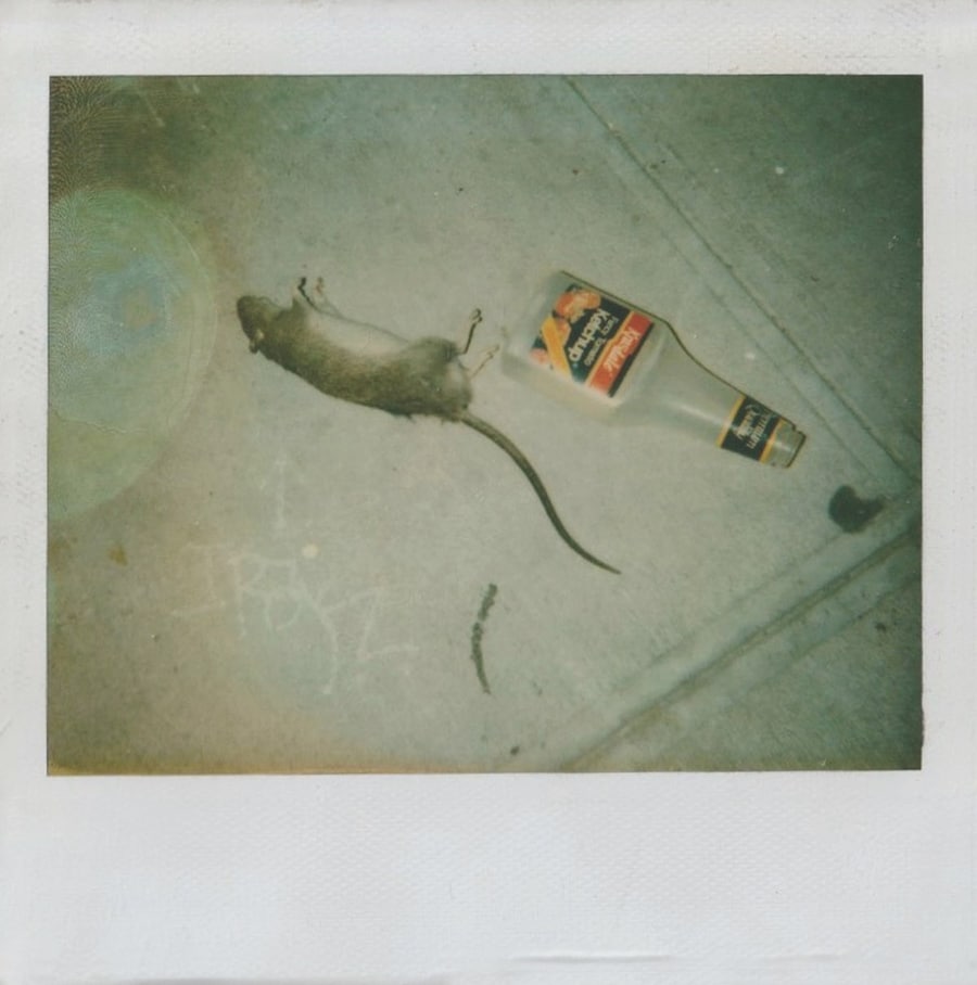 Dash Snow Polaroids New York Ryan Mcginley