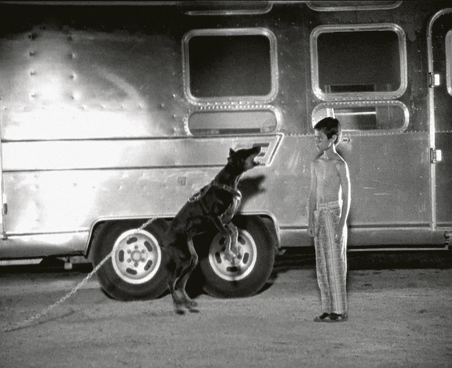 Short Form: Music Videos, Ads, and the Art of Moving Images