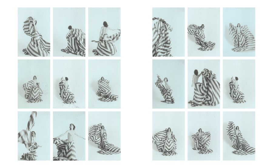 Out of Date: Pola Pan 1984-1996 by Mark Borthwick