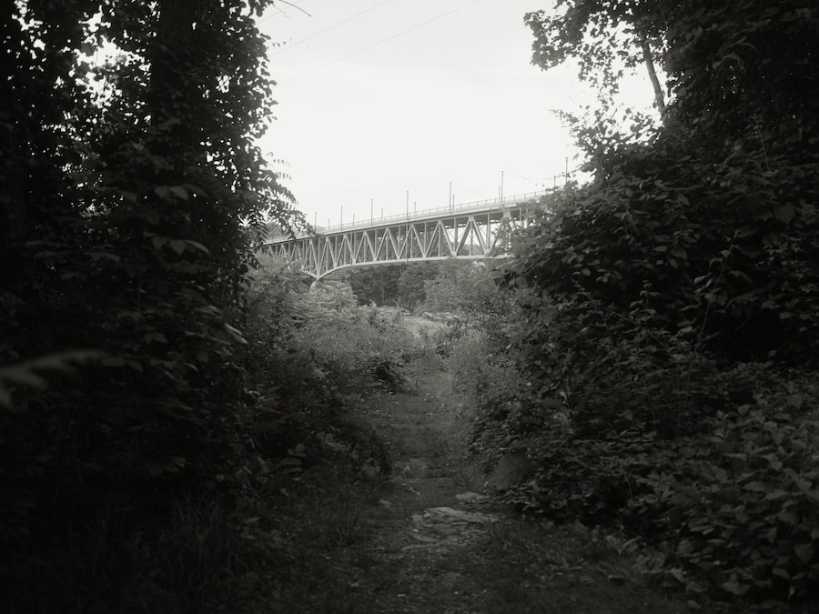 Ocean Vuong, Bridge, Turners Falls, 2025