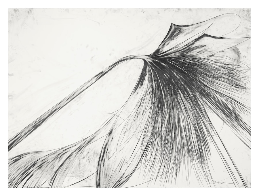 Atropa by Sterling Ruby Artist Garden Los Angeles