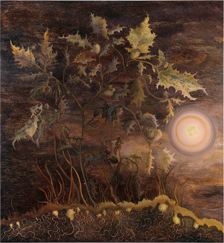 Georg Wilson, Vespertine (Thorn Apple), 2025