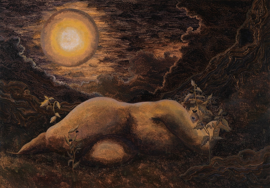 Georg Wilson, Black Nightshade, 2025