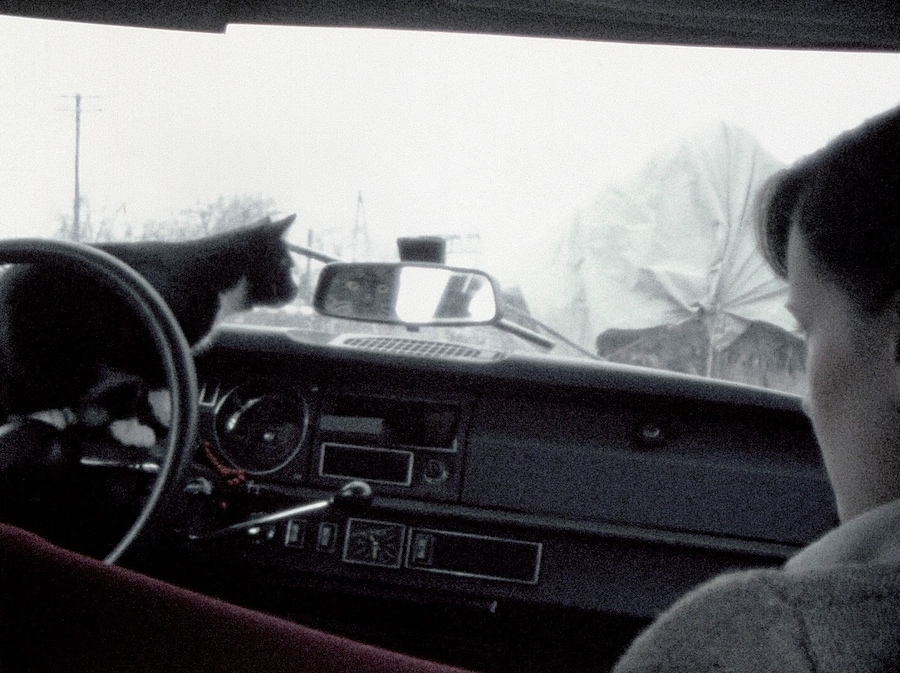 First Trip to Bologna 1978 / Last Trip to Venice 1985 