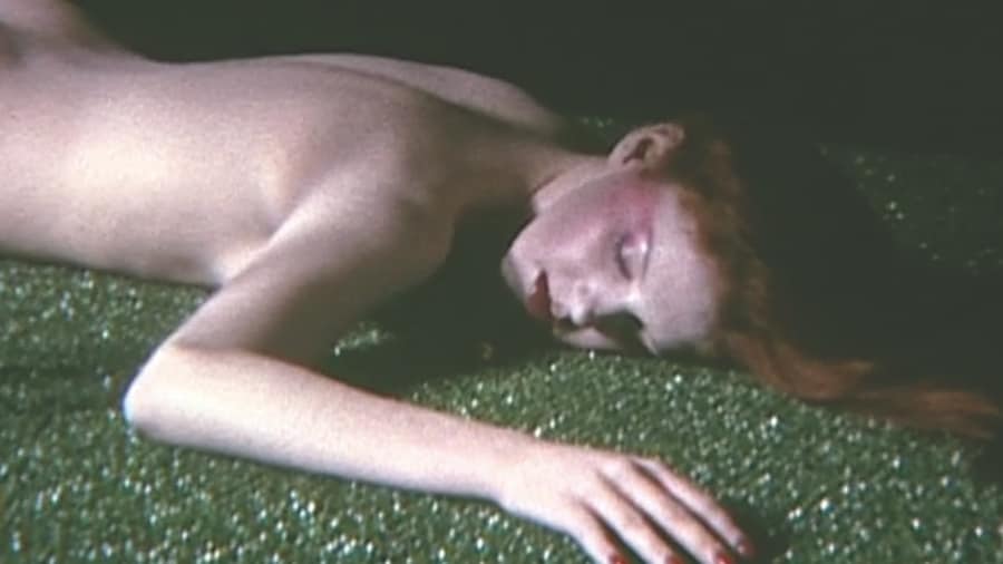 SHOWstudio 25th Anniversary