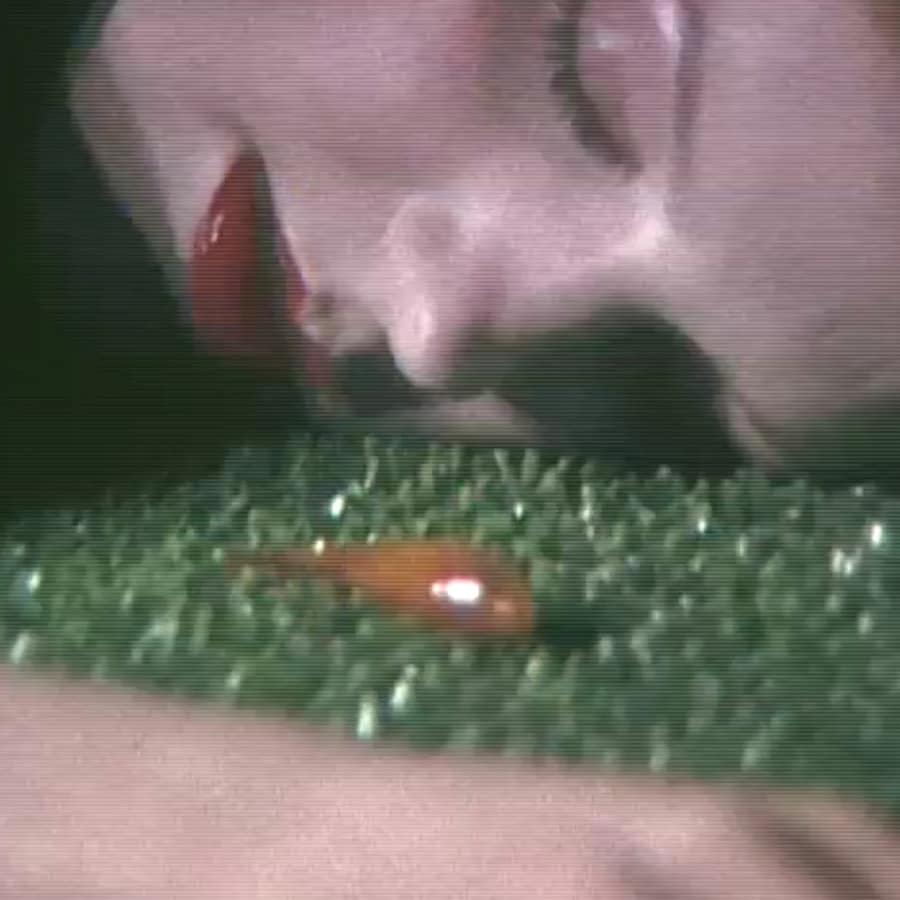 SHOWstudio 25th Anniversary