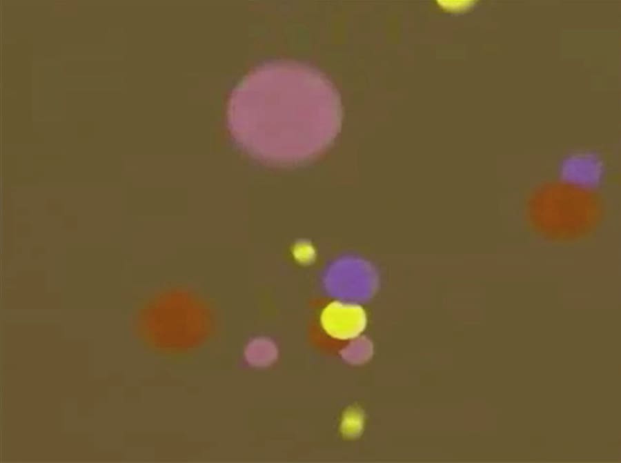 SHOWstudio 25th Anniversary