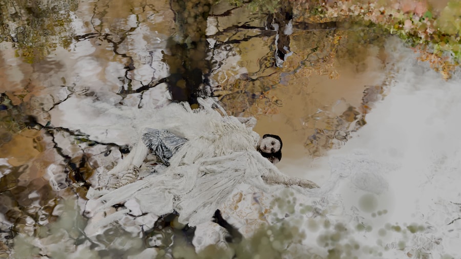 SHOWstudio 25th Anniversary