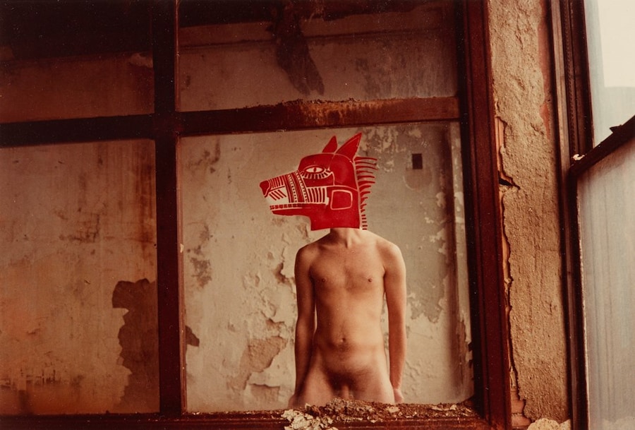 ManII05_M6_DavidWojnarowicz_03_cropped