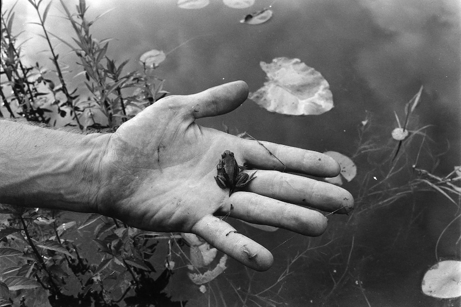 ManII05_M6_DavidWojnarowicz_09